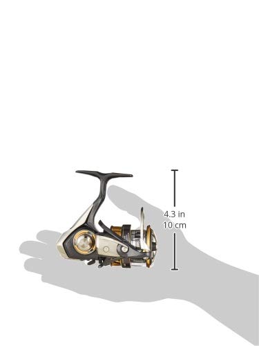 Daiwa LT3000-CXH 18 Legalis Spinning Reel (2018 Model) : Amazon.ca